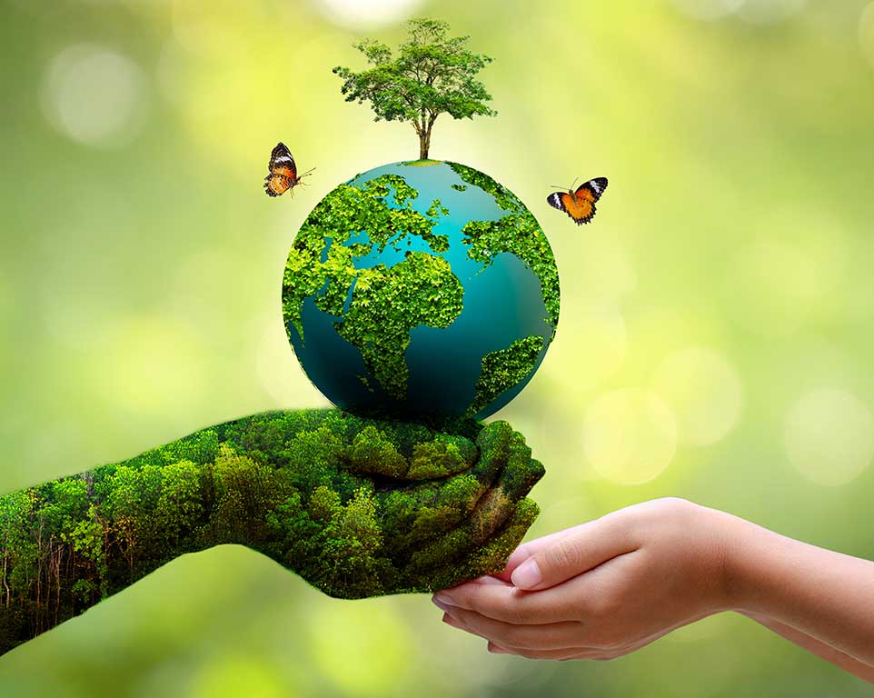 Certificado de calidad ISO 9001